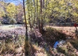 Tract 6 - The Woods at Blue Creek property photo