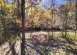 Tract 6 - The Woods at Blue Creek property photo