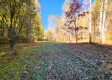 Tract 6 - The Woods at Blue Creek property photo