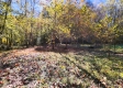 Tract 6 - The Woods at Blue Creek property photo