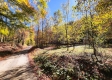 More of Tract 6 - The Woods at Blue Creek