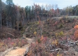 Overlook Cabin at Huston Hills property photo