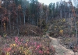 Overlook Cabin at Huston Hills property photo