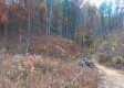 Overlook Cabin at Huston Hills property photo
