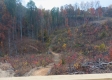 Overlook Cabin at Huston Hills property photo