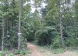 Sunrise Cabin at Perry Ridge property photo