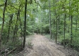 Sunrise Cabin at Perry Ridge property photo