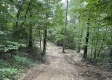 Sunrise Cabin at Perry Ridge property photo