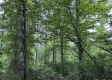 Sunrise Cabin at Perry Ridge property photo