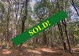 Tract 13 at Potts Hill