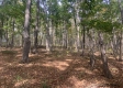 Tract 13 at Potts Hill property photo