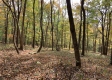 Tract 13 at Potts Hill property photo