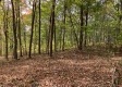 Tract 13 at Potts Hill property photo