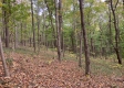 Tract 13 at Potts Hill property photo