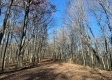 Tract 13 at Potts Hill property photo
