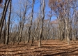 Tract 13 at Potts Hill property photo