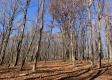 Tract 13 at Potts Hill property photo