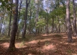 More of Tract 13 at Potts Hill