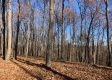 Tract 13 at Potts Hill property photo
