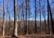 Tract 13 at Potts Hill property photo