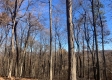 Tract 13 at Potts Hill property photo