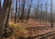 Tract 13 at Potts Hill property photo