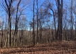 Tract 13 at Potts Hill property photo
