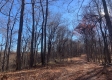 Tract 13 at Potts Hill property photo