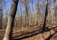 Tract 13 at Potts Hill property photo