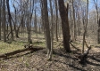 Tract 13 at Potts Hill property photo