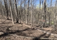 Tract 13 at Potts Hill property photo