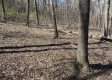 Tract 13 at Potts Hill property photo