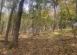 More of Tract 13 at Potts Hill