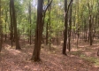 Tract 13 at Potts Hill property photo