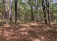 Tract 13 at Potts Hill property photo