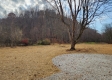 Tract 5 - Blue Creek property photo