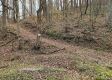 Tract 5 - Blue Creek property photo