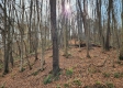 Tract 5 - Blue Creek property photo