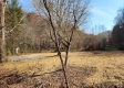 Tract 5 - Blue Creek property photo