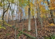 More of Tract 5 - Blue Creek