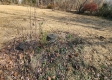 Tract 5 - Blue Creek property photo