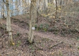 Tract 5 - Blue Creek property photo