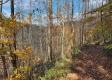 Tract 5 - Blue Creek property photo