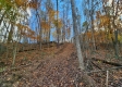 Tract 5 - Blue Creek property photo