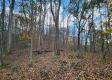 Tract 5 - Blue Creek property photo
