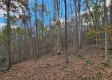 Tract 5 - Blue Creek property photo