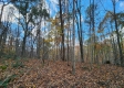 Tract 5 - Blue Creek property photo