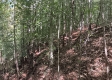 Tract 5 at The Caves at Callaway property photo