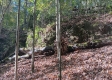 Tract 5 at The Caves at Callaway property photo
