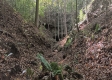 More of Tract 5 at The Caves at Callaway